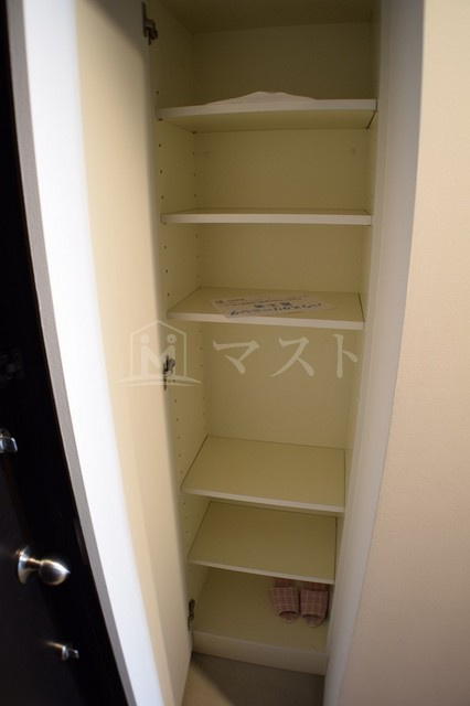 大阪市西区南堀江４丁目の賃貸マンションの収納