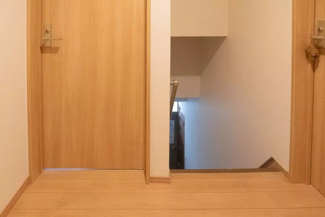 AP1550 STEP-1 Dのその他|






