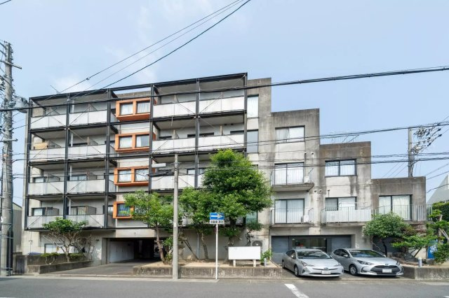 AP498 ノーサレンダー 320の外観|



