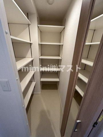 大阪市西区新町３丁目の賃貸マンションの収納