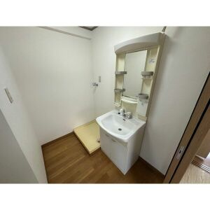 春日井市大留町５丁目の賃貸マンションの洗面所