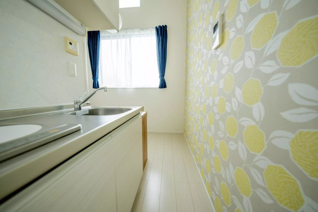 AP262 Apartmenthouse足立舎人 205のキッチン|




