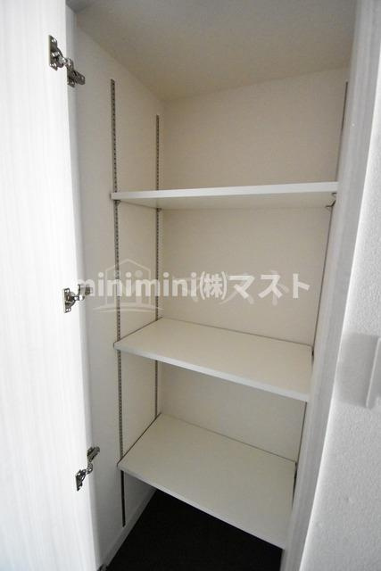 大阪市西区九条１丁目の賃貸マンションの収納