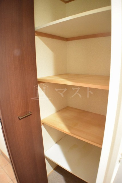 大阪市西区靱本町１丁目の賃貸マンションの収納