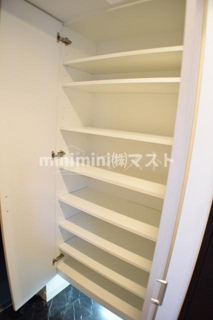 大阪市西区阿波座１丁目の賃貸マンションの収納