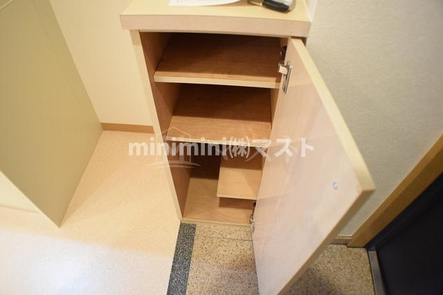 大阪市西区西本町２丁目の賃貸マンションの収納
