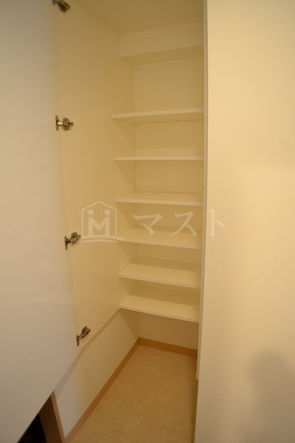 大阪市西区阿波座２丁目の賃貸マンションの収納