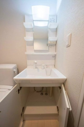 AP225 Apartmenthouse足立舎人 203の洗面所|



