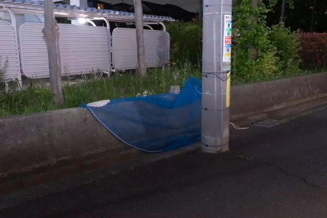 AP1363 ベルシティー高砂 204のその他共用部分|










