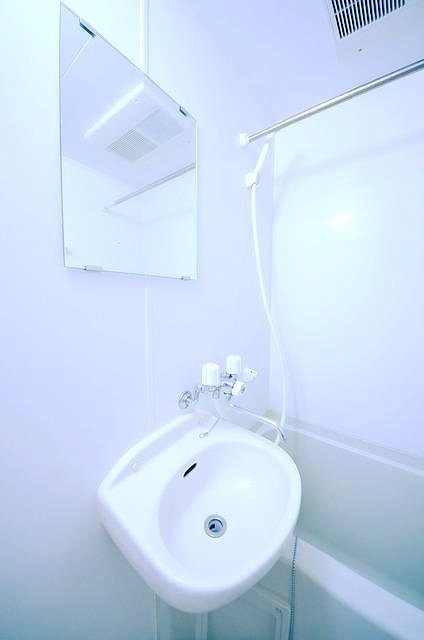 ヴィラージュドゥノールの洗面所