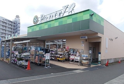 【周辺】 | ペルレトゥルムＢ | 小田原百貨店板橋店まで1100m