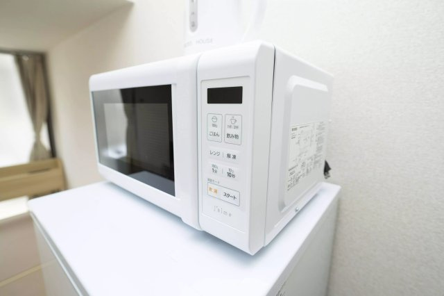 AP421 パレス中川 102のキッチン|




