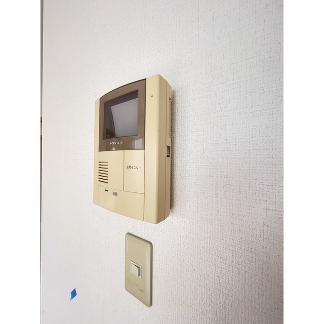 レイナスのその他