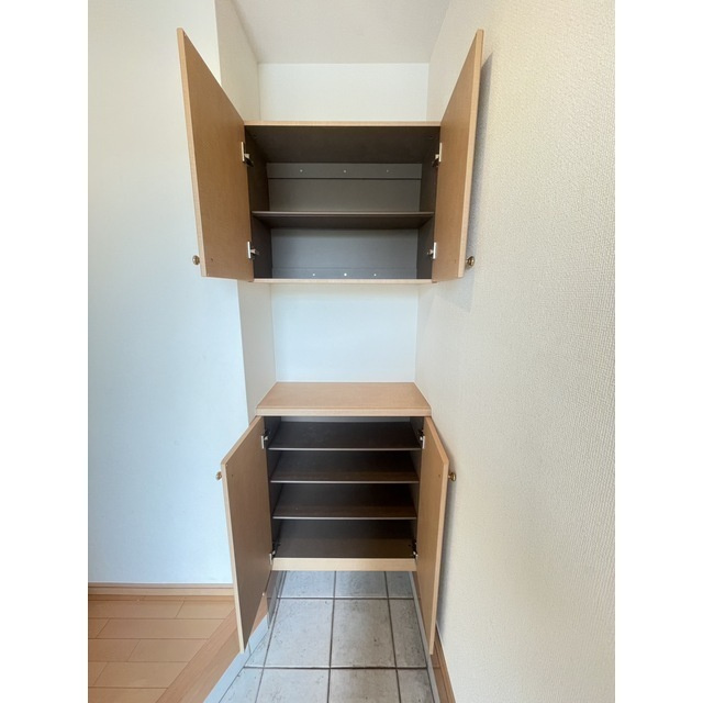 レイナスのその他
