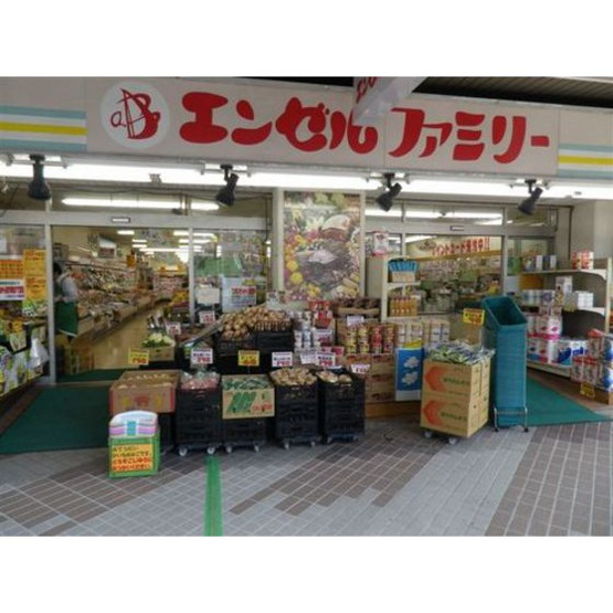 【周辺】 | アムス門前仲町　富岡 | ホームセンター「エンゼルファミリー門前仲町まで177ｍ」エンゼルファミリー