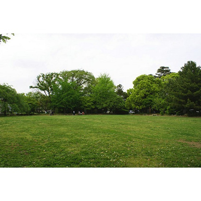 【周辺】 | Ｍフラット | 公園「緑の森公園まで1431ｍ」