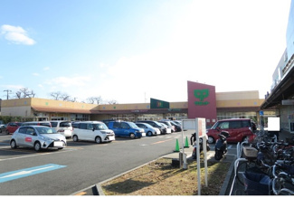 サミットストア 松戸新田店まで800ｍ