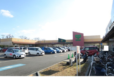 サミットストア 松戸新田店まで800ｍ