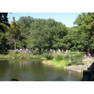 【周辺】 | 公園「くりのみ緑地まで599ｍ」三宝寺池