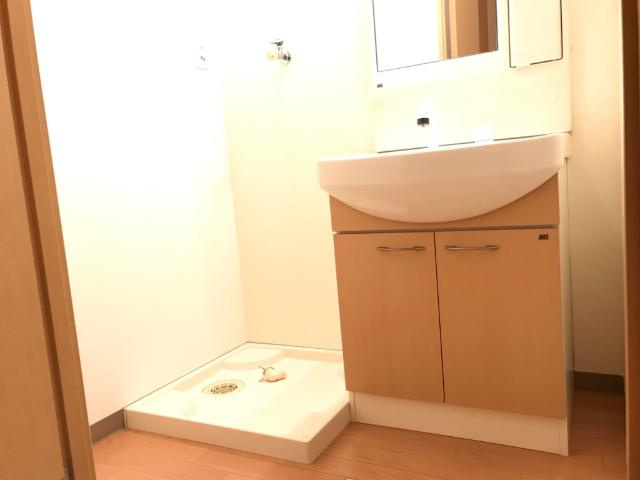 ルミエール大坪のその他|脱衣所