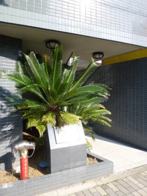 植栽