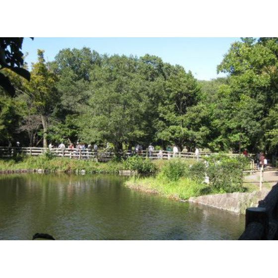 エステートピア・ｕ３号棟の周辺|公園「くりのみ緑地まで599ｍ」三宝寺池