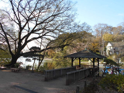 善福寺公園まで700ｍ
