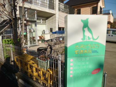渋沢どうぶつ愛護病院まで100ｍ