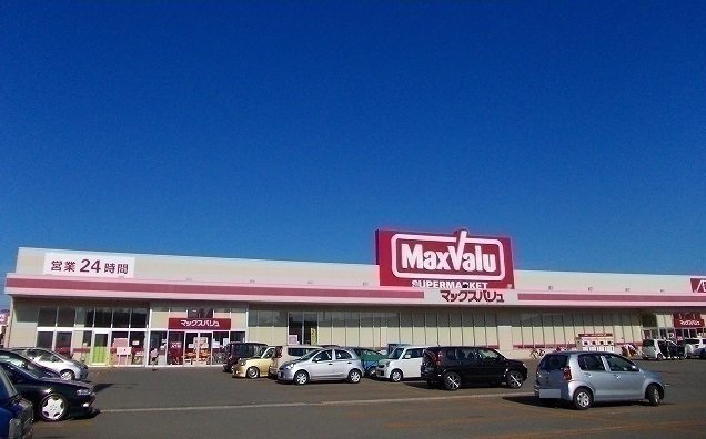 フラワーガーデン３の周辺|マックスバリュ　港北店まで1000m