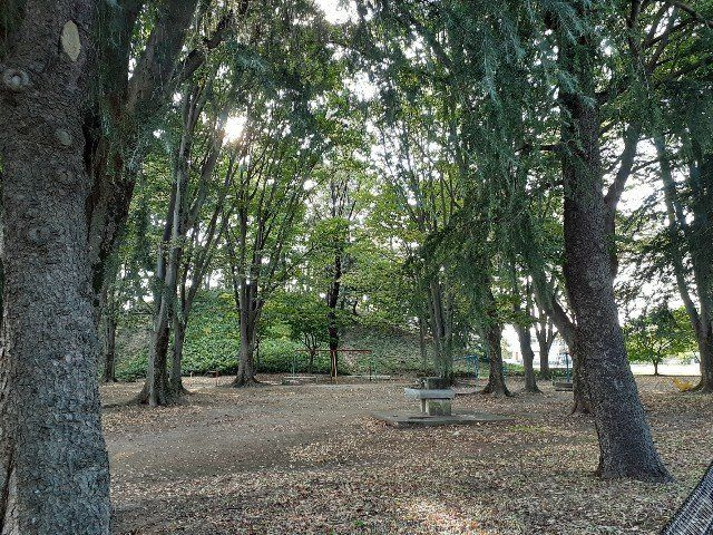 ウェル　パーク　Ⅱの周辺|八幡山公園まで50m
