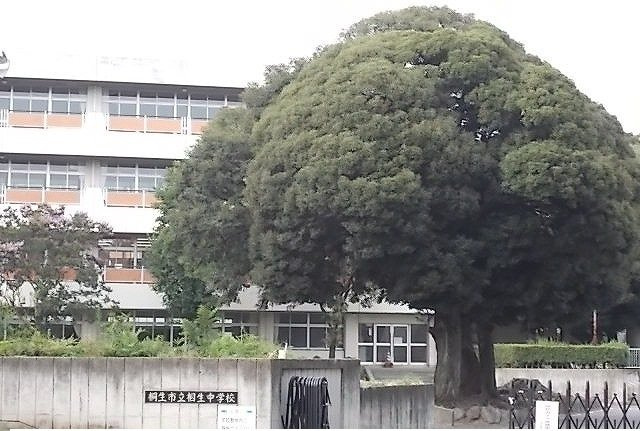 エントピアＣの周辺|相生中学校まで2000m