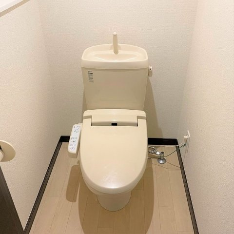 レオネクストリバティーのその他