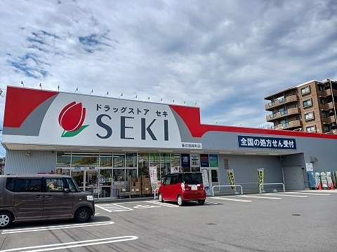 ファミリーステイツ２の周辺|ドラッグストアセキまで500m