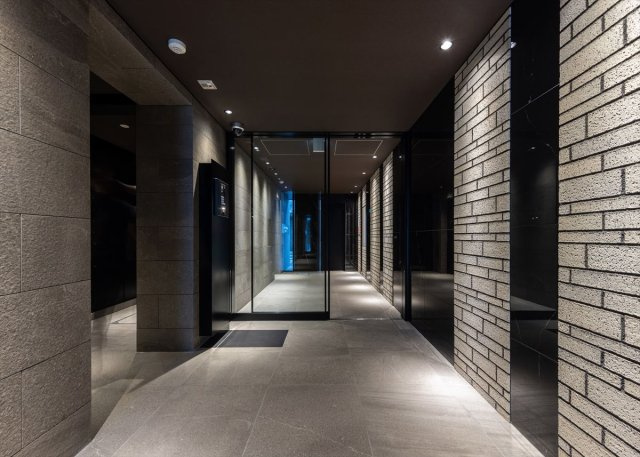 DIPS東十条駅前RESIDENCEのエントランス|エントランスです