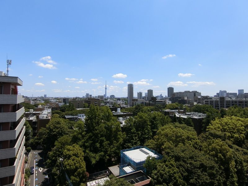 本郷エーワン東大前の展望