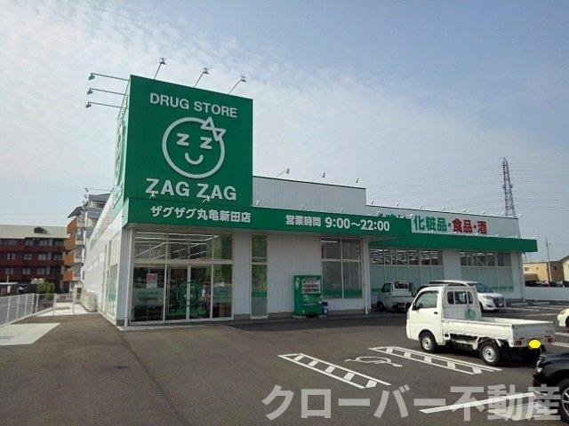 アヴニール・レイ　Ａの周辺|ザグザグ丸亀新田店まで700m