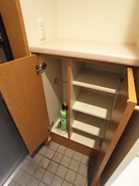 メインステージ日本橋箱崎Ⅱの収納|靴入