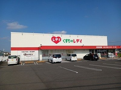ルミエールⅢの周辺|くすりのレディ川岡店さんまで800m
