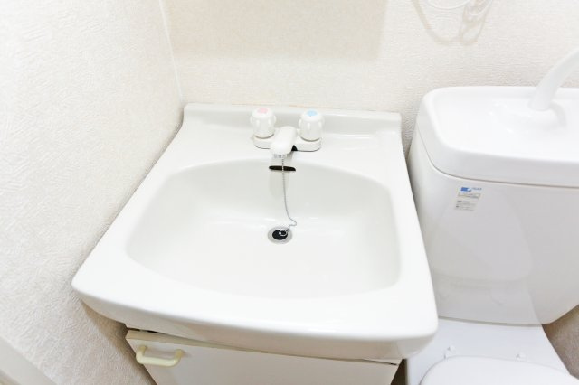 サヴォイレジェント　4階の独立洗面台|別号室のものになります。現状優先。