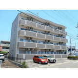 プラシードカーサの画像