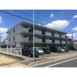 プロビデンス日比野の画像