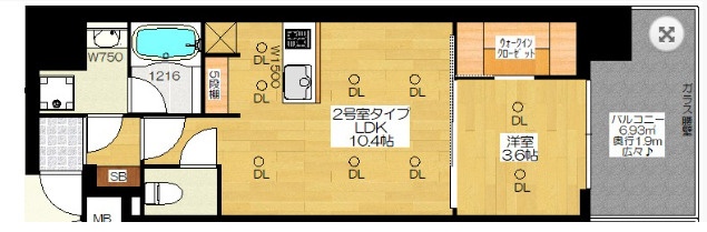 ブエナビスタ難波タワーの間取り