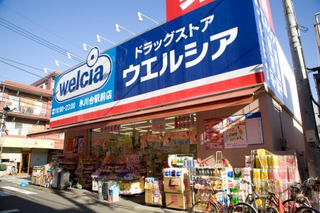 グラード氷川台の周辺