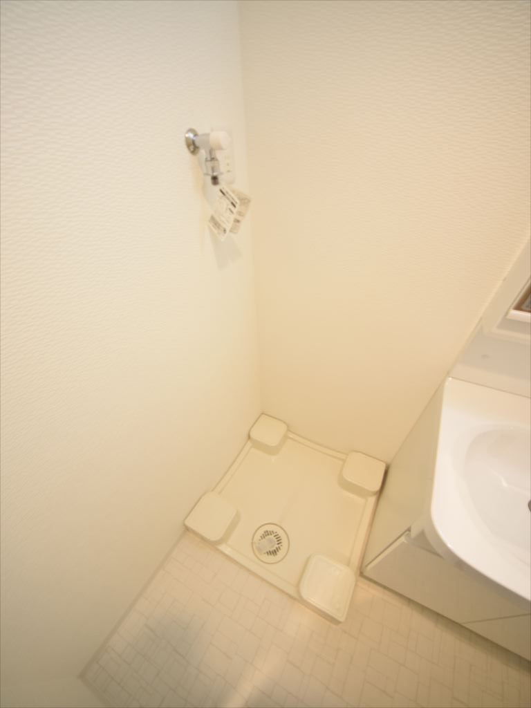 S-RESIDENCE南堀江の設備|S-RESIDENCE南堀江　室内洗濯機置場