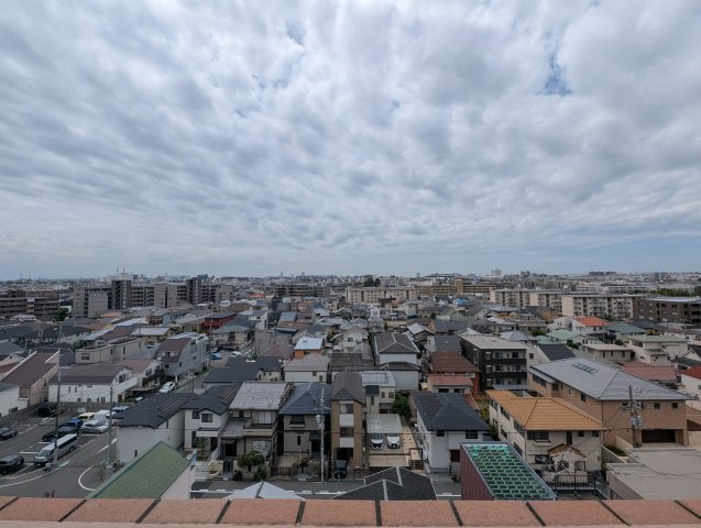 パレス東洋上甲子園の展望