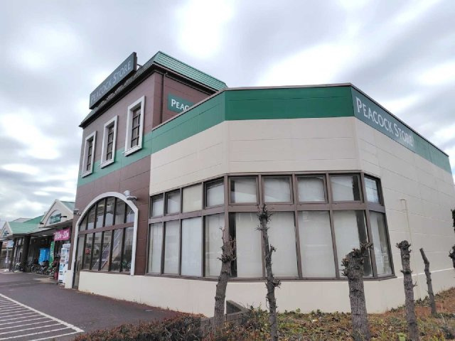 レオネクストスィングアイランドの周辺