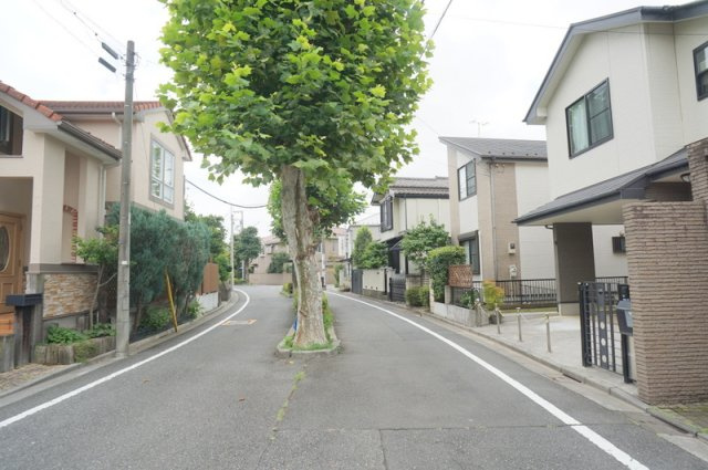 常盤台２　戸建の前面道路含む現地写真|北東側　公道　幅員約8.2m　接道約5.4m
