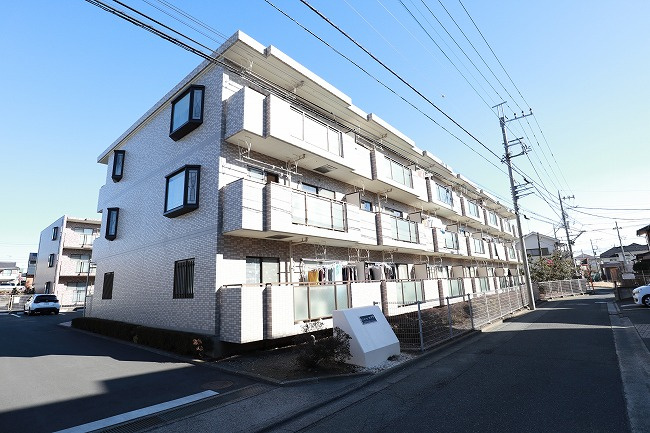 ルミエールコマチ
