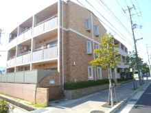 パルシオの画像