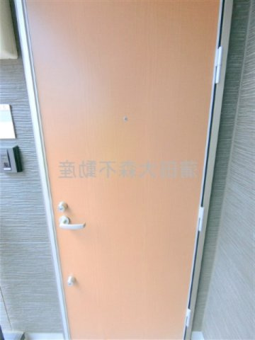 ウェルスクエア下丸子SOUTHの玄関